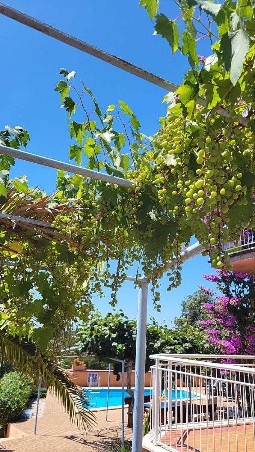 Stella Apartments Vinkuran Dış mekan fotoğraf